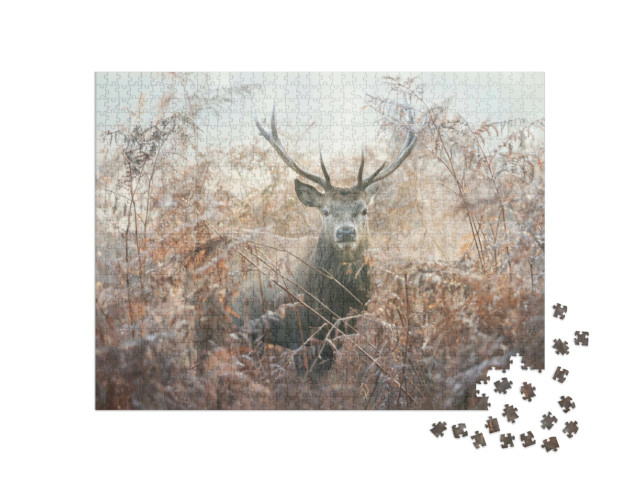 Puzzle 1000 Teile „Porträt eines Rothirsches an einem nebligen Herbstmorgen“