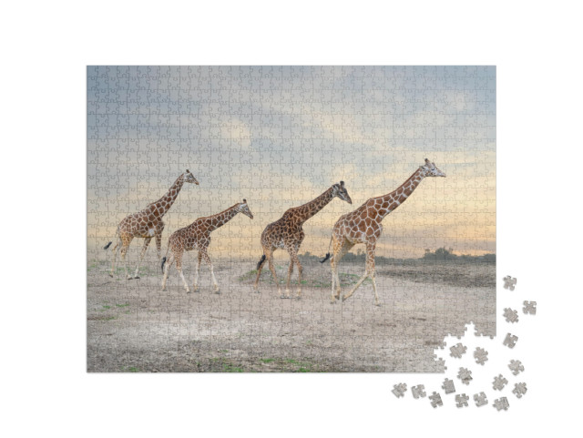 Puzzle 1000 Teile „Giraffenherde“