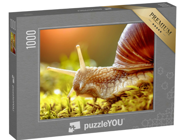 Puzzle 1000 Teile „Nahaufnahme einer Weinbergschnecke“
