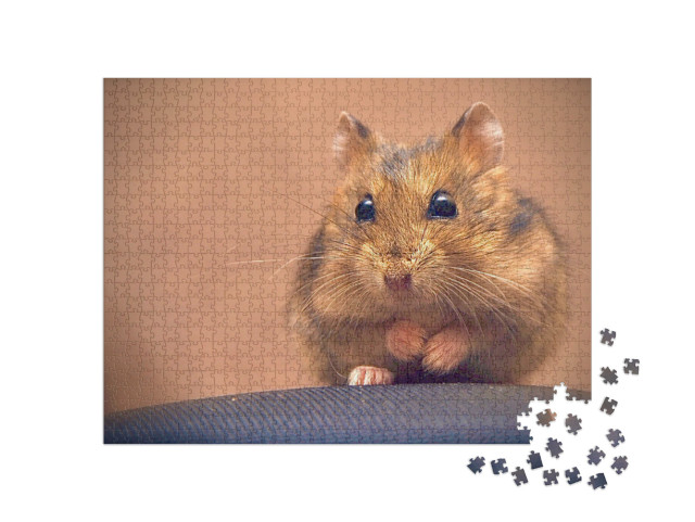 Puzzle 1000 Teile „Süßer brauner Hamster“