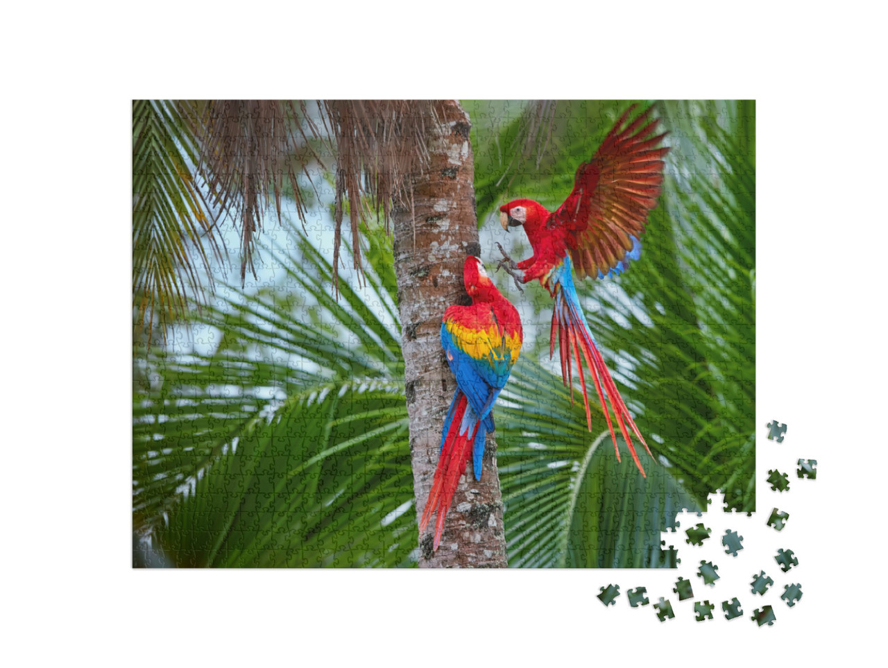 Puzzle 1000 Teile „Amazonas-Papageien an einer Palme“