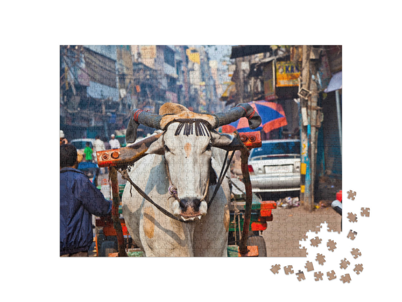 Puzzle 1000 Teile „Ochsenkarren-Transport am frühen Morgen in Alt-Delhi, Indien“