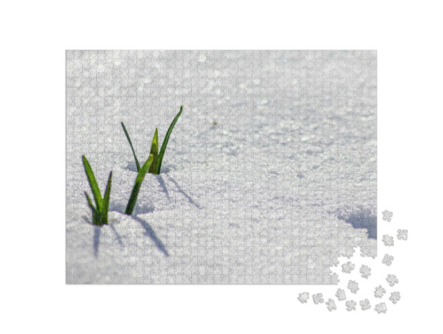 Puzzle 1000 Teile „Frisches Grün blinzelt durch die Schneedecke“