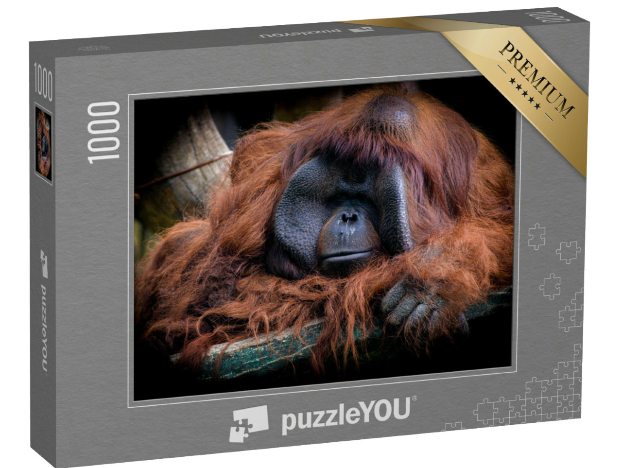 Puzzle 1000 Teile „Der männliche Borneo-Orang-Utan, Pongo pygmaeus“