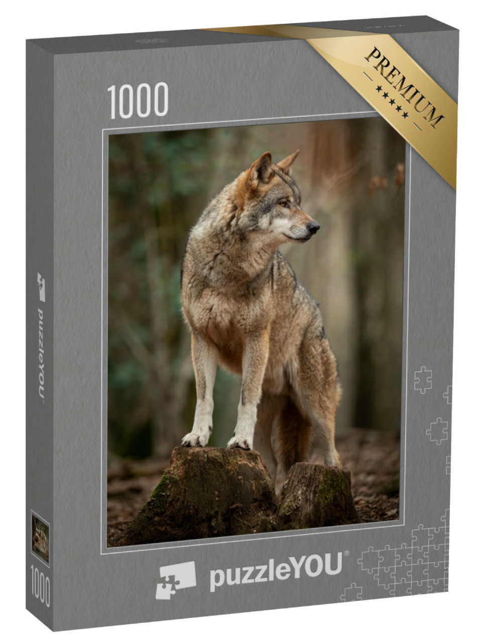 Puzzle 1000 Teile „Grauer Wolf in witternder Pose im Wald“