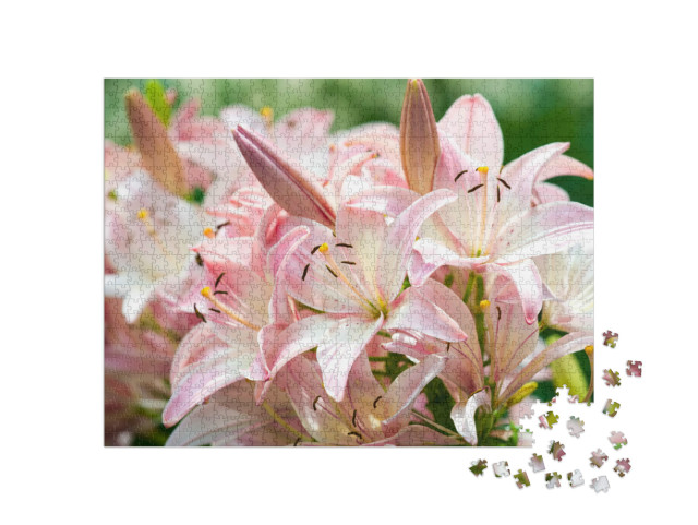 Puzzle 1000 Teile „Duftende Lilien“