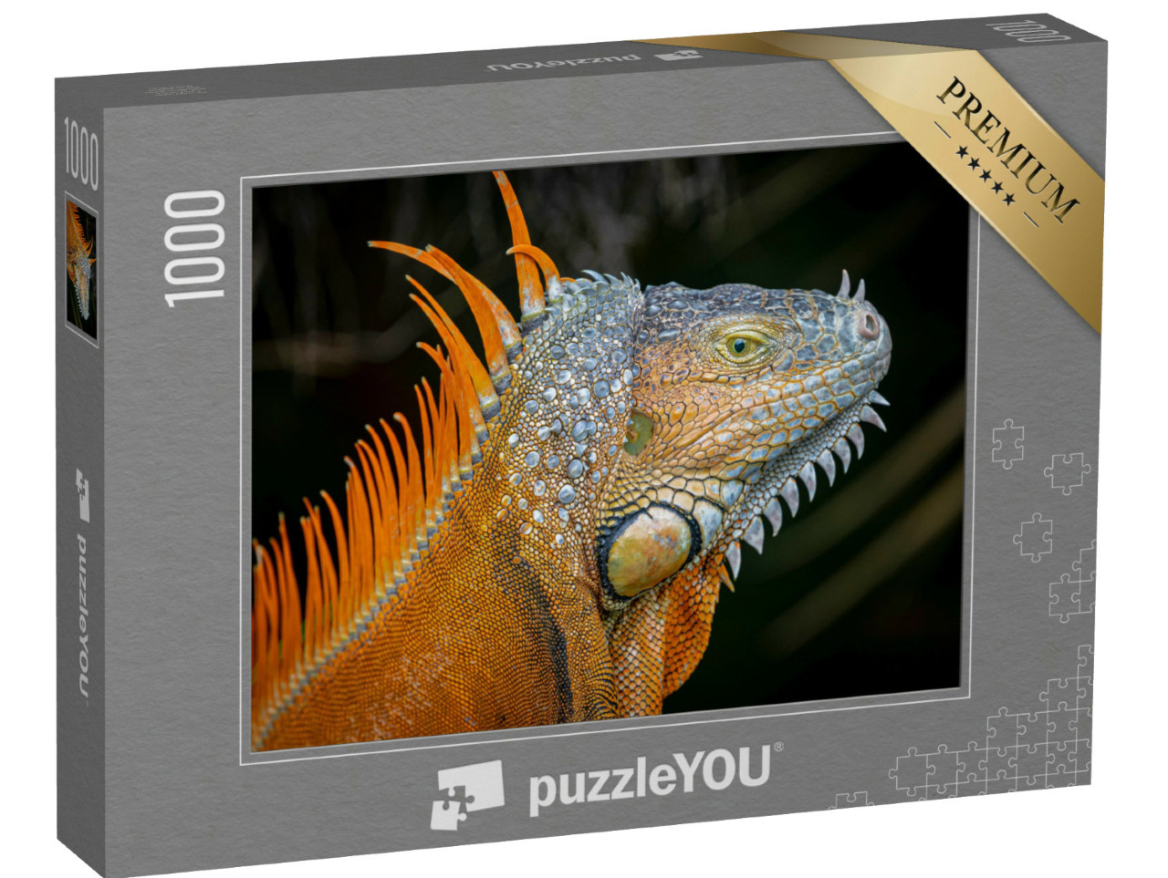 Puzzle 1000 Teile „Orangefarbene Morphe eines ausgewachsenen Grünen Leguans“