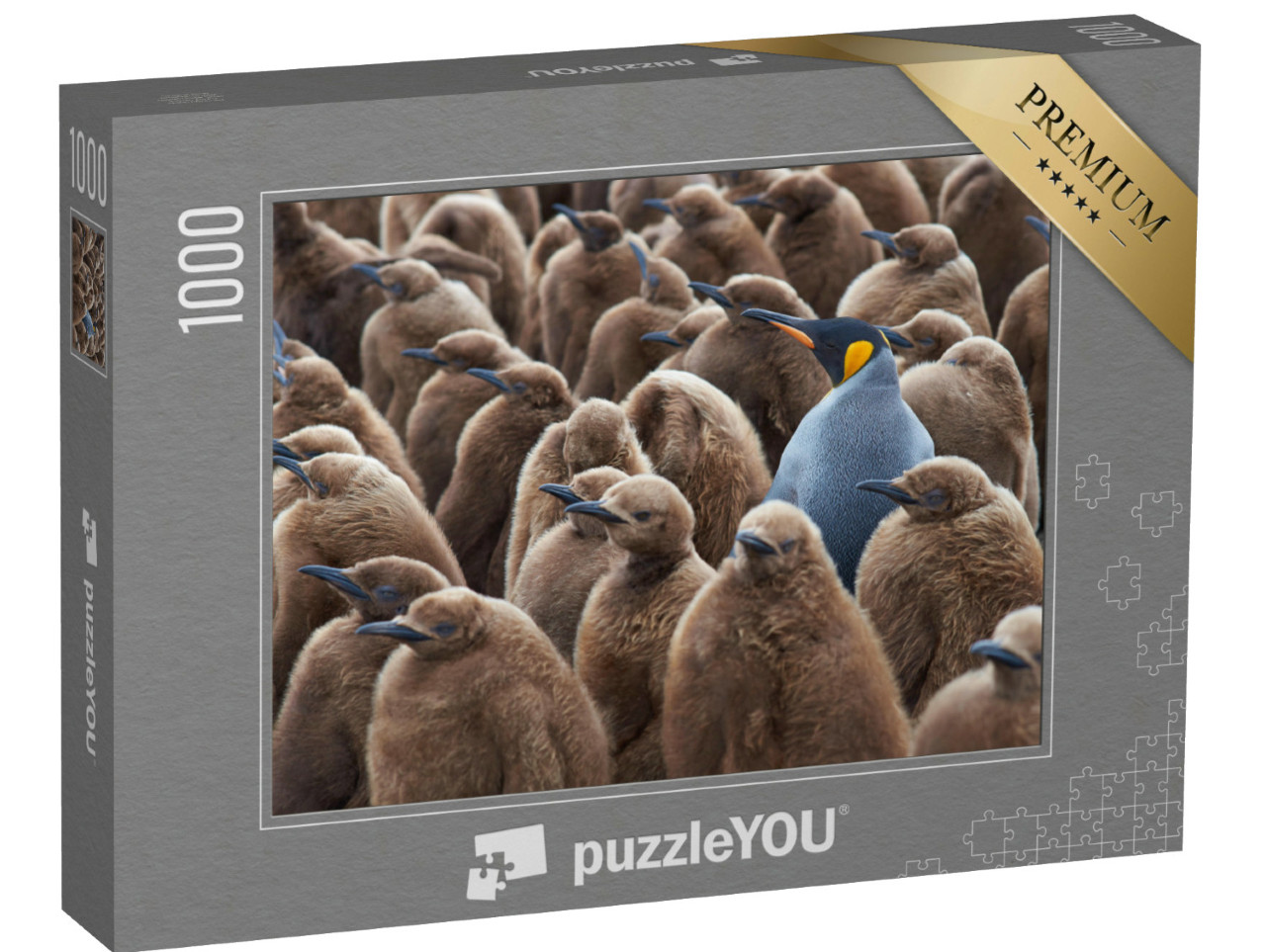 Puzzle 1000 Teile „Ausgewachsener Königspinguin in einer Gruppe von Jungtieren“