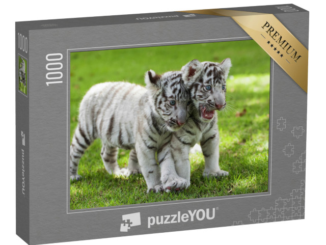 Puzzle 1000 Teile „Zwei weiße Tiegerbabys“