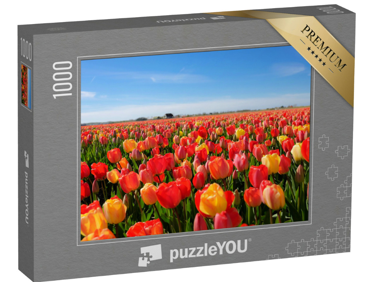Puzzle 1000 Teile „Tulpenfeld, Niederlande“