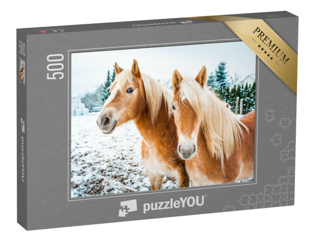 Puzzle 500 Teile „Haflingerpferde auf einer schneebedeckten Wiese“