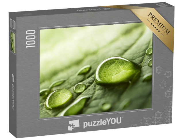 Puzzle 1000 Teile „Tropfen von Regenwasser auf einem grünen Blatt“