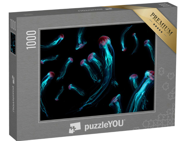 Puzzle 1000 Teile „Japanische Seenessel, eine wunderschöne, giftige Qualle“