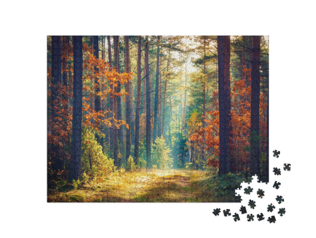 Puzzle 1000 Teile „Sonniger Herbstwald“