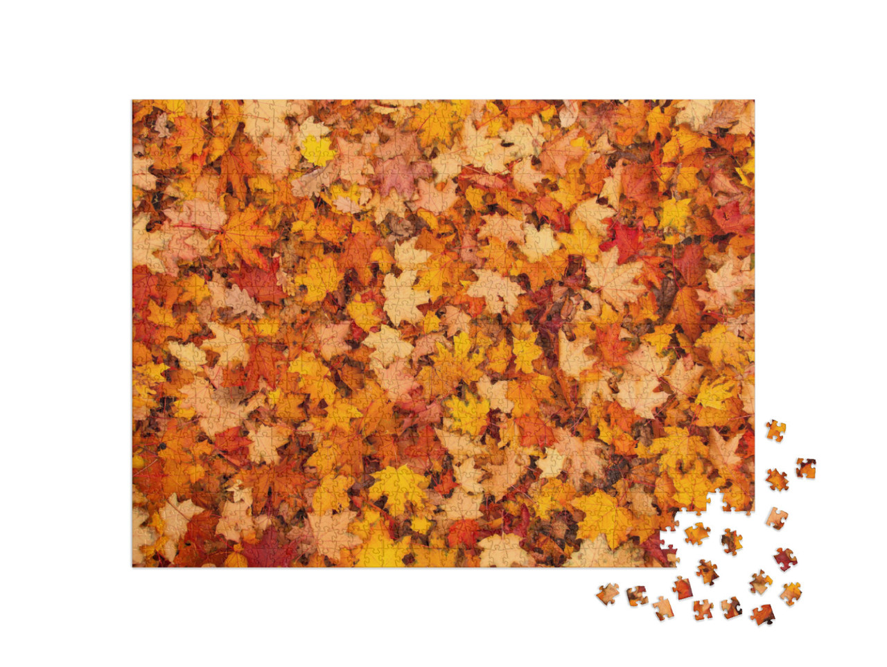 Puzzle 1000 Teile „Rote und orangene Herbstblätter“