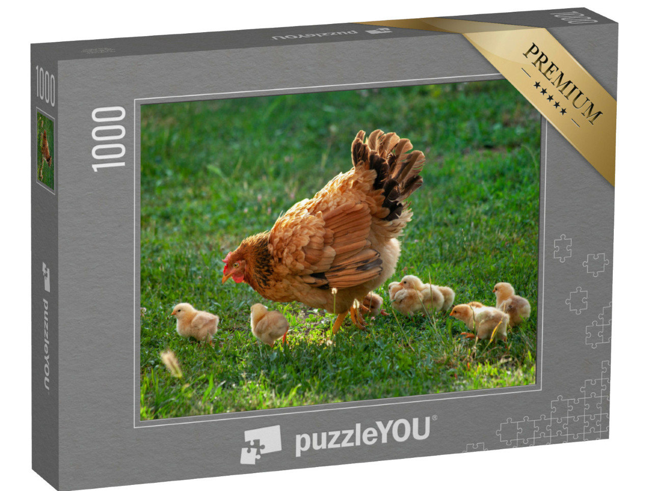 Puzzle 1000 Teile „Glucke beim Spaziergang mit ihren Küken“