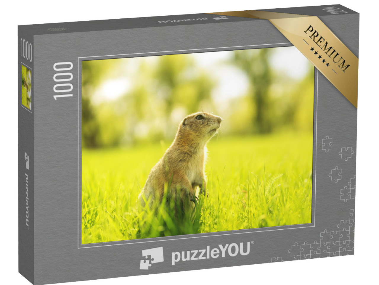 Puzzle 1000 Teile „Murmeltier auf einer sonnigen Wiese“