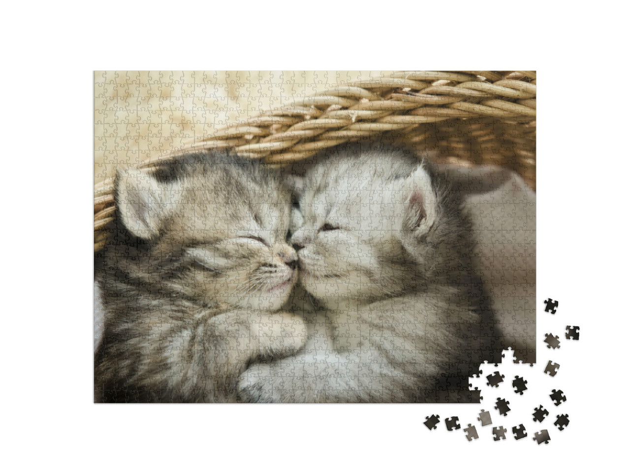 Puzzle 1000 Teile „Zwei niedliche schlafende Tigerkätzchen“