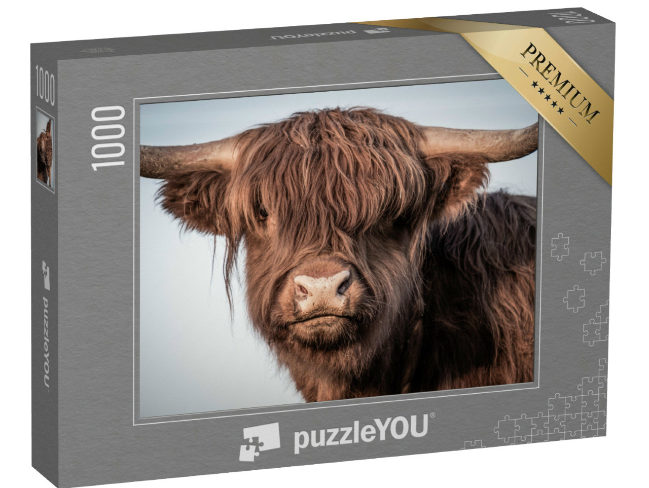 Puzzle 1000 Teile „Portrait eines schottischen Hochlandrindes“