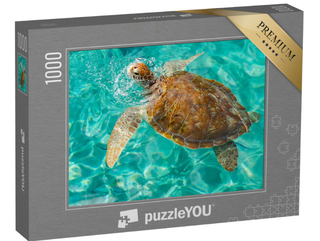 Puzzle 1000 Teile „Schildkröte in Westpunt, Karibikinsel Curacao“