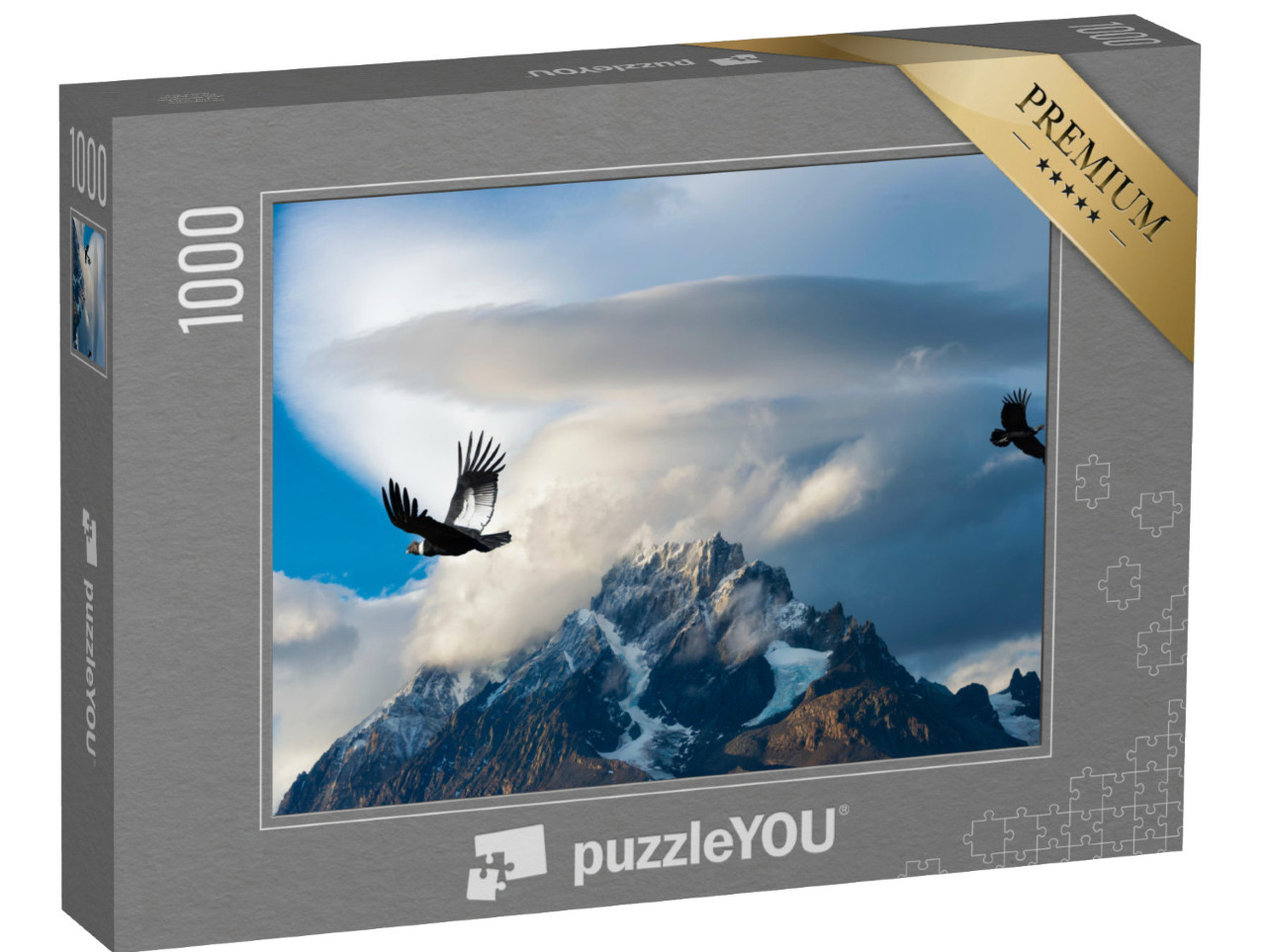 Puzzle 1000 Teile „Andenkondore im Torres del Paine National Park, Chile“