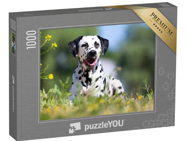 Puzzle 1000 Teile „Dalmatiner im Sommer“