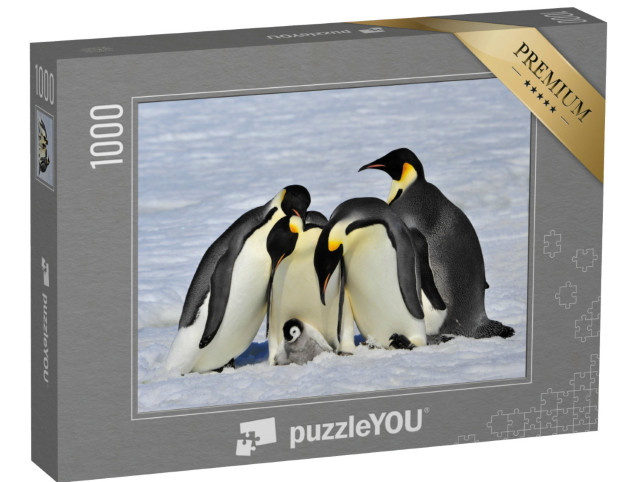 Puzzle 1000 Teile „Kaiserpinguine beschützen ein Küken“