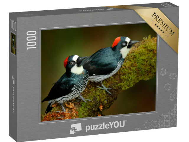 Puzzle 1000 Teile „Zwei Eichelspechte auf einem moosbewachsenen Zweig“