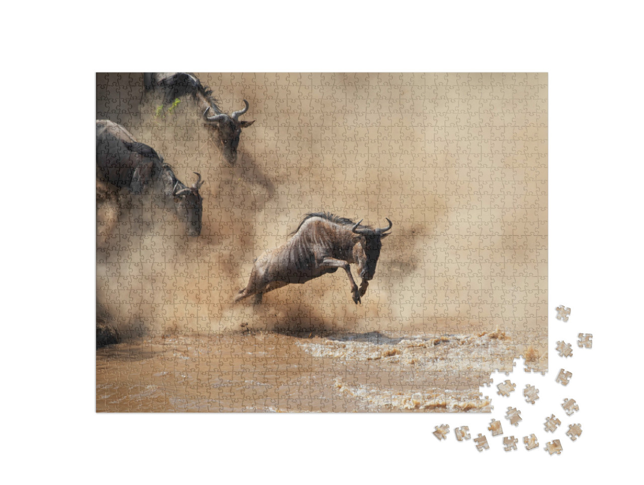 Puzzle 1000 Teile „Wilde Gnus beim Durchqueren eines Flusses“