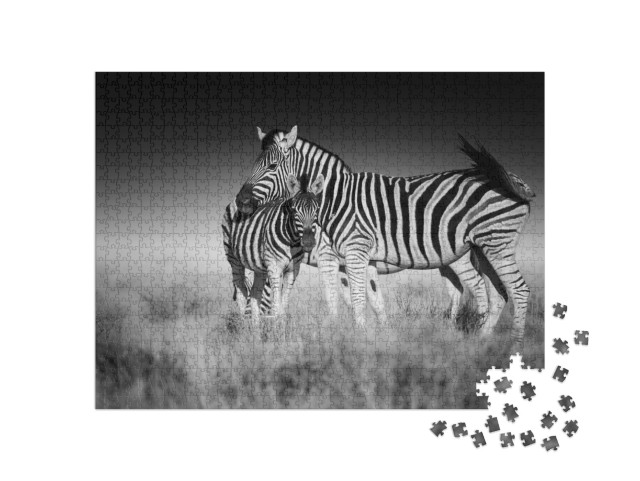 Puzzle 1000 Teile „Zebras in der Savanne von Etosha, Namibia“