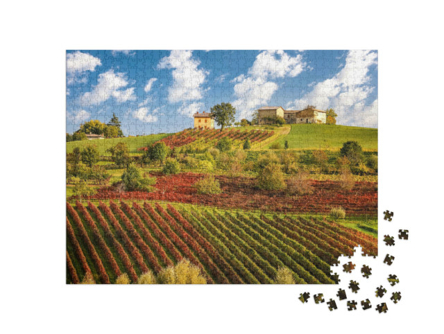 Puzzle 1000 Teile „Lambrusco-Weinberge bei Castelvetro, Emilia Romagna, Italien“