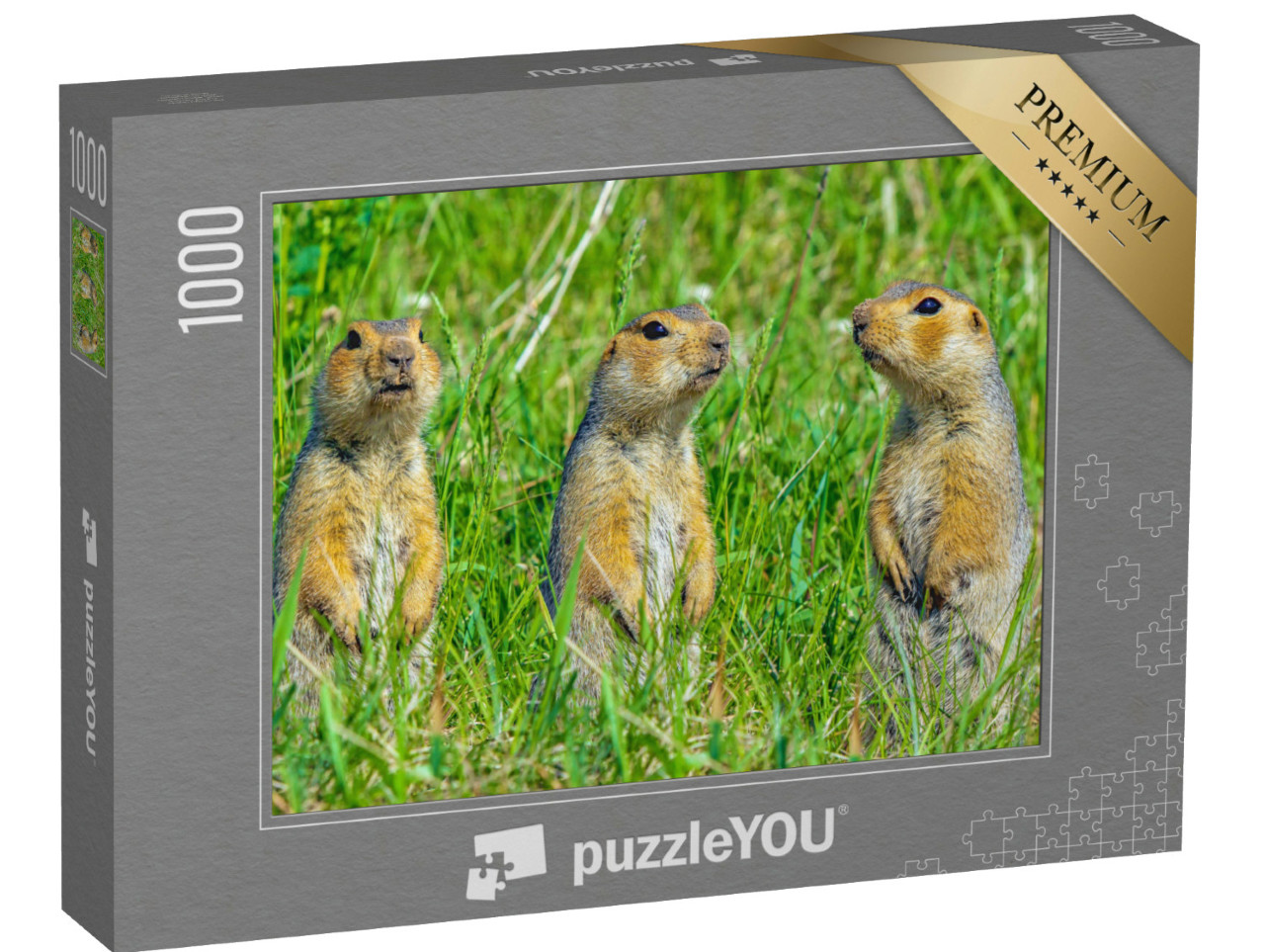 Puzzle 1000 Teile „Familie von Erdhörnchen “
