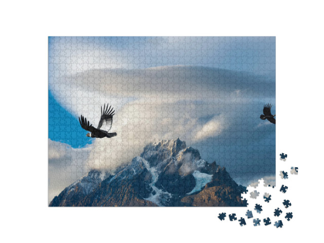Puzzle 1000 Teile „Andenkondore im Torres del Paine National Park, Chile“