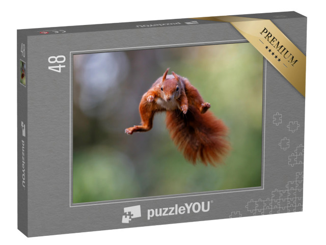 Puzzle 48 Teile „Rotes Eichhörnchen springt durch den Wald“