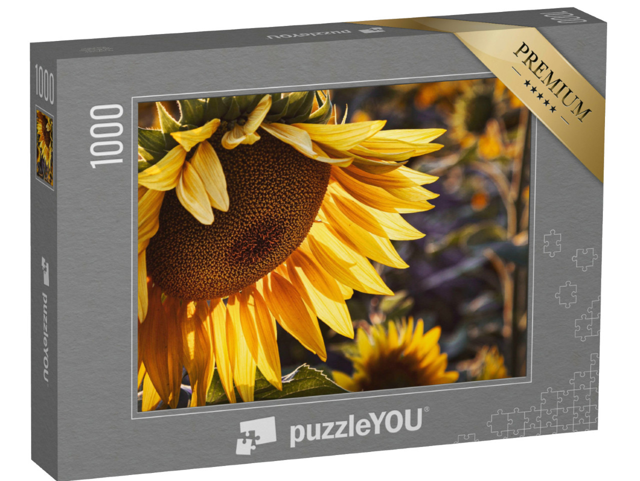 Puzzle 1000 Teile „Gelbe Sonnenblume bei Sonnenuntergang“