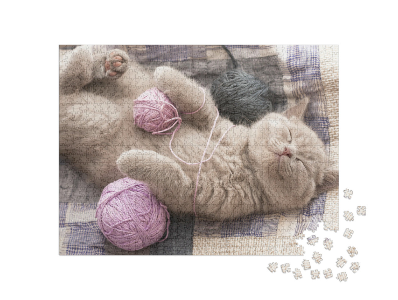 Puzzle 1000 Teile „Schlafendes lilac Kätzchen, niedlich“