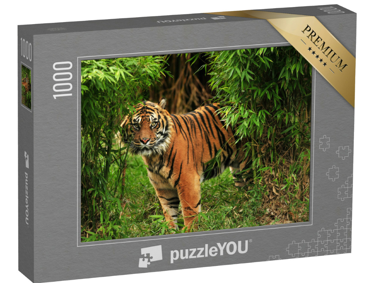 Puzzle 1000 Teile „Männlicher Königstiger“