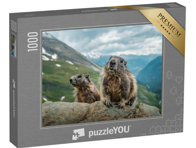 Puzzle 1000 Teile „Zwei Murmeltiere und eine schöne Aussicht am Großglockner“