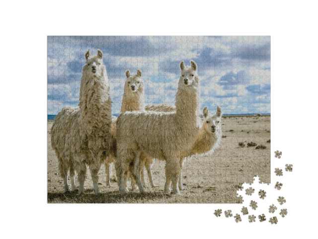 Puzzle 1000 Teile „Lamagruppe in ihrem natürlichen Lebensraum“