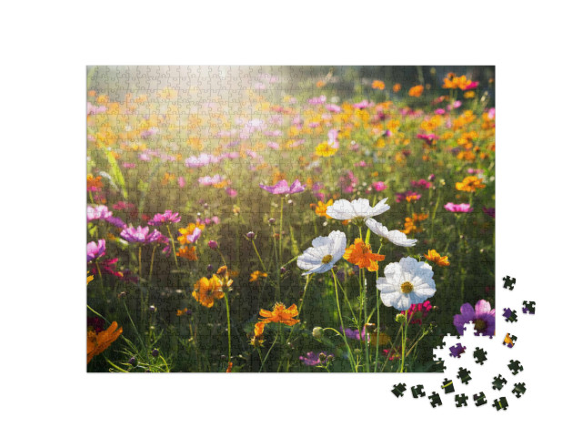 Puzzle 1000 Teile „Kosmeen blühen am Morgen“