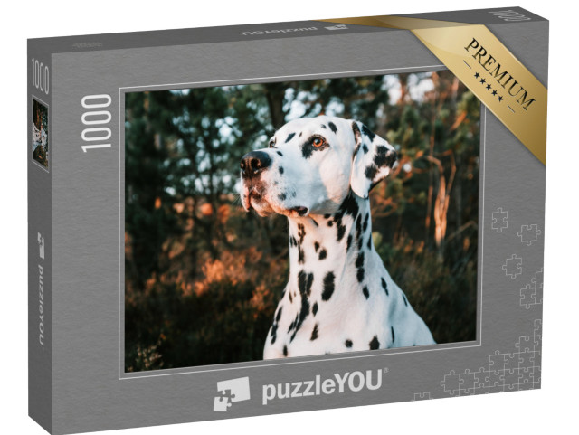 Puzzle 1000 Teile „Ein Dalmatiner beim Sonnenuntergang“