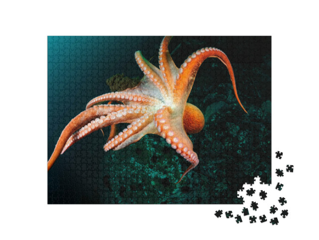 Puzzle 1000 Teile „Flug eines Riesenkraken in der Tiefsee“