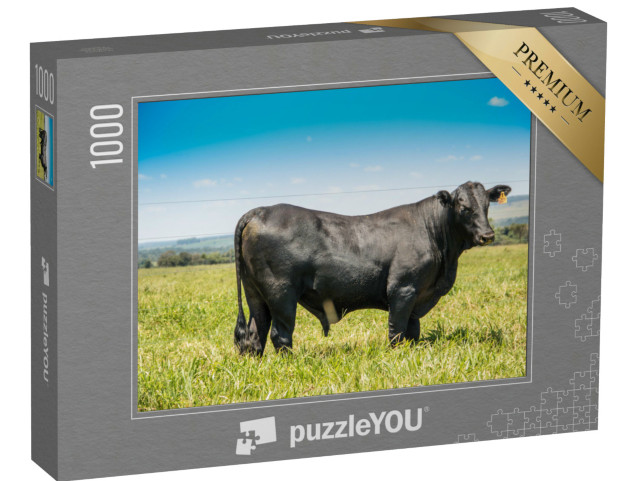 Puzzle 1000 Teile „Angusrind in Seitenansicht“