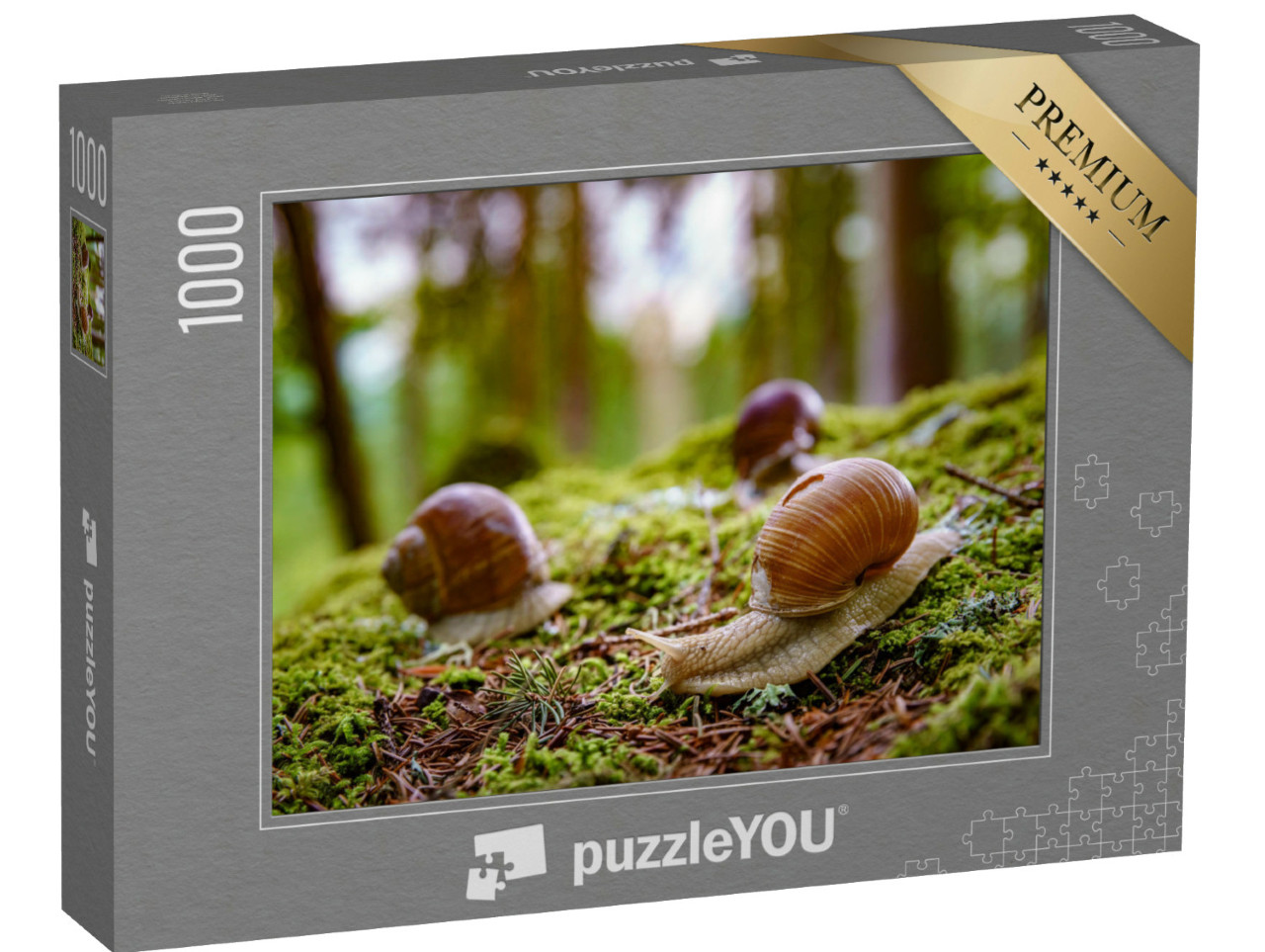 Puzzle 1000 Teile „Weinbergschnecken in der Natur“