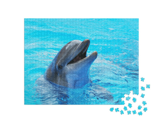 Puzzle 1000 Teile „Delphine in einem Pool“