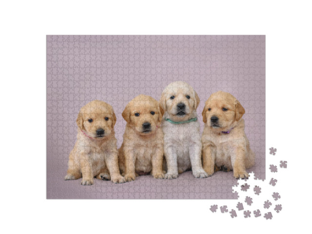 Puzzle 1000 Teile „Vier kleine Golden Retrieve Welpen “