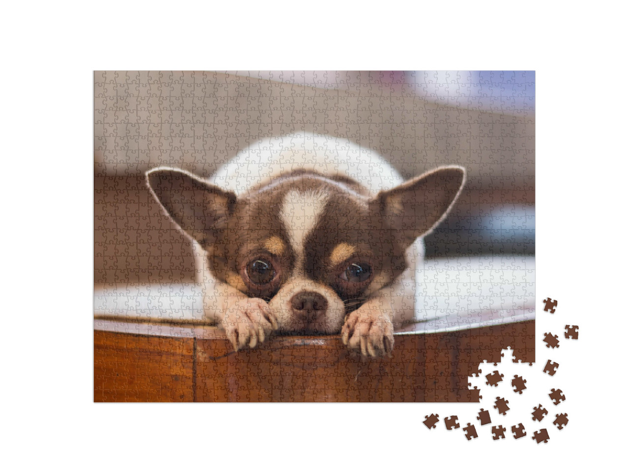 Puzzle 1000 Teile „Einsamer Hund “
