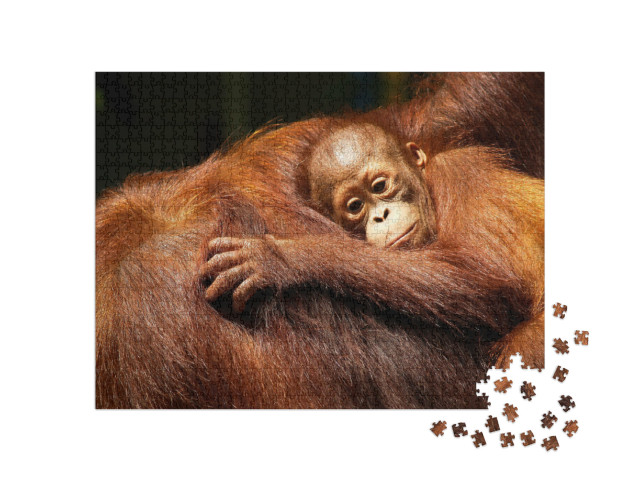 Puzzle 1000 Teile „Orang-Utan-Weibchen und ihr Baby im Regenwald“