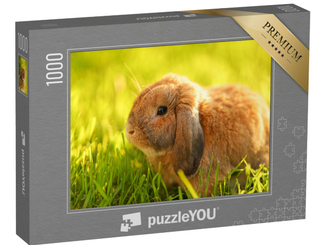 Puzzle 1000 Teile „Kleines Kaninchen mit Hängeohren sitzt auf dem Rasen“