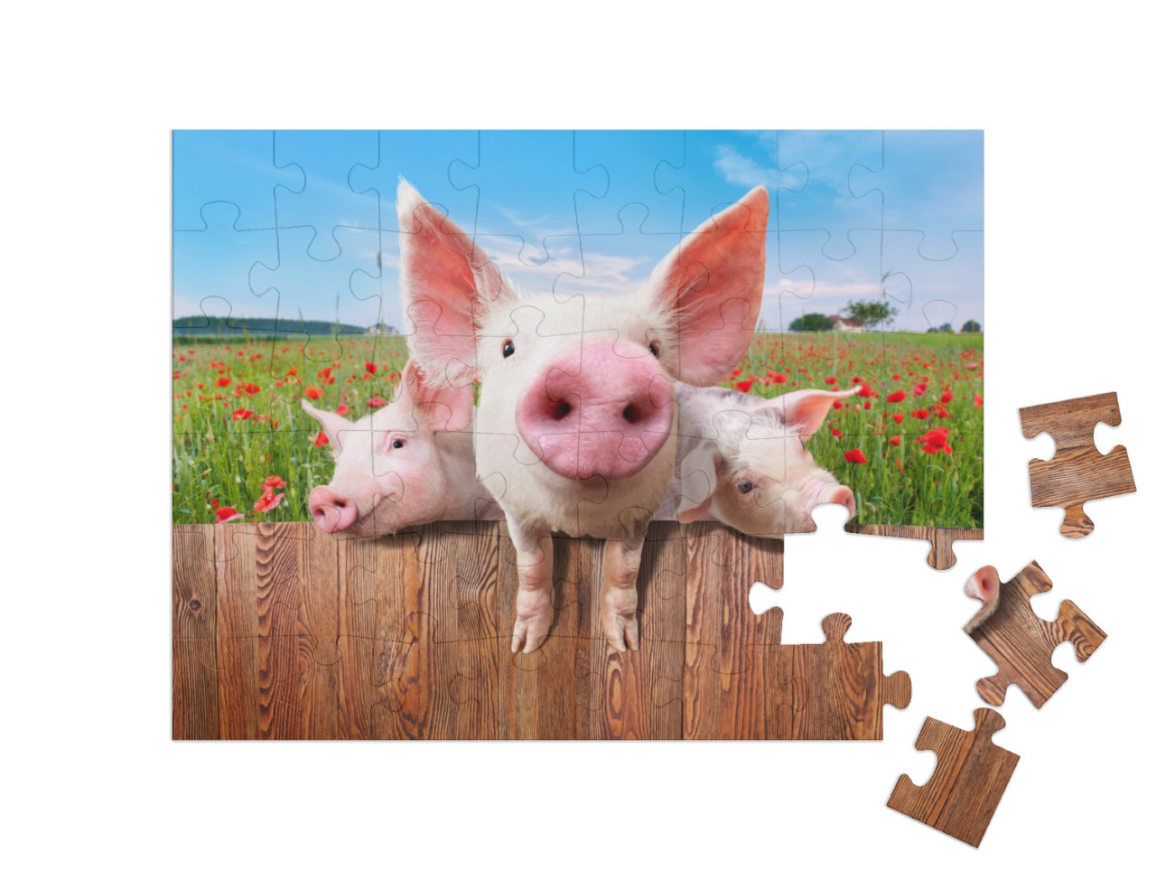 Puzzle 48 Teile „Junge Schweine auf dem Bauernhof schauen über den Zaun“